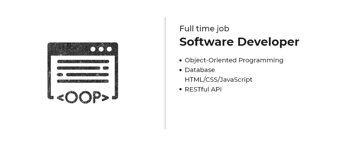 Software Developer